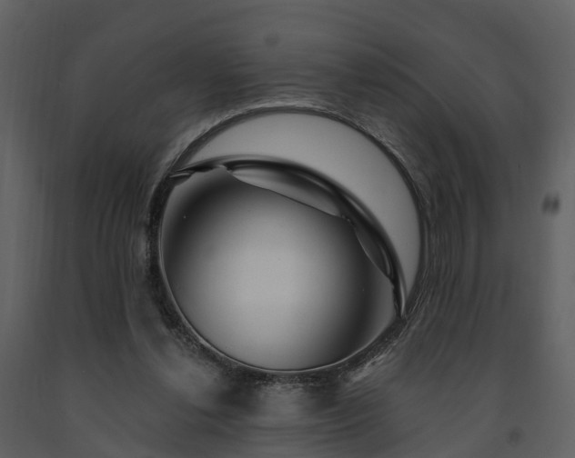 X0000091730252200708241419