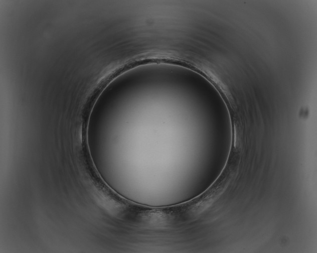 X0000091730253200708241420