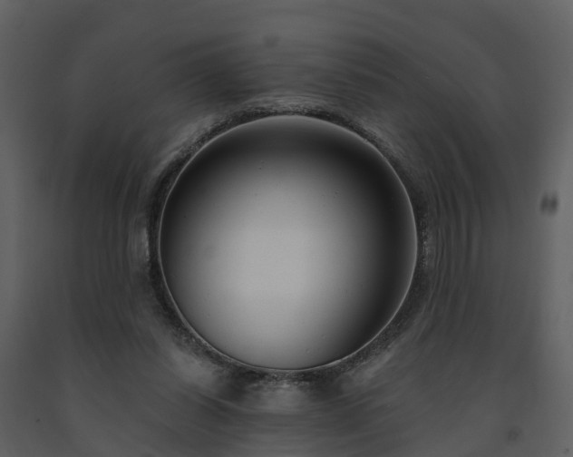 X0000091730254200708241420