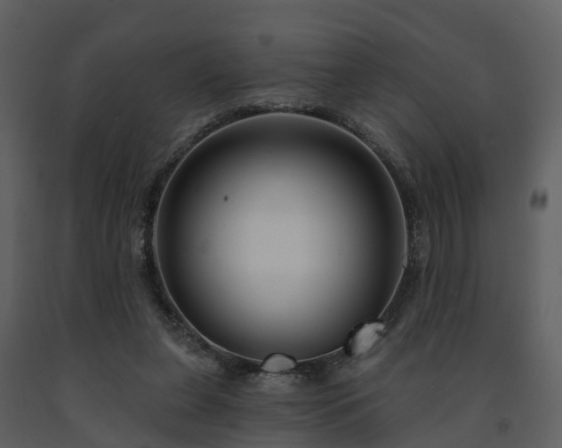 X0000091730255200708241420