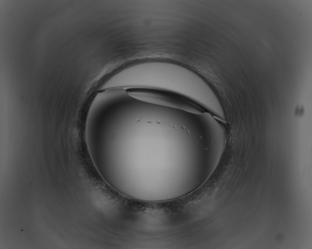 X0000091730256200708241420