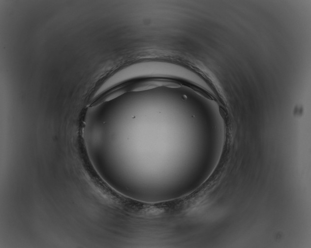 X0000091730257200708241420