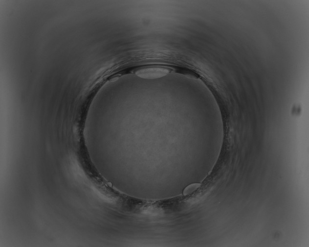 X0000091730258200708241420