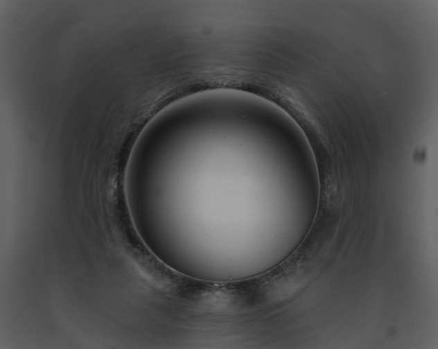 X0000091730259200708241420
