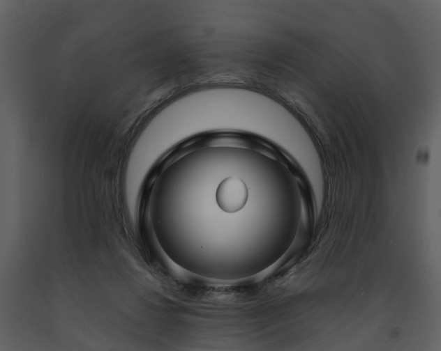 X0000091730260200708241420