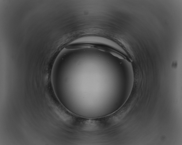 X0000091730261200708241420