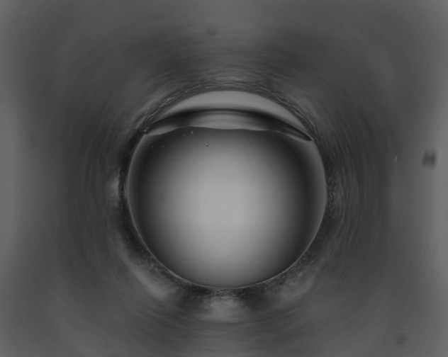 X0000091730262200708241420