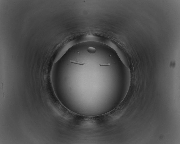 X0000091730263200708241420