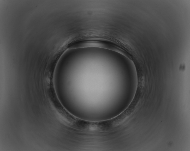 X0000091730264200708241420
