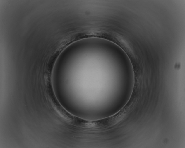X0000091730265200708241420