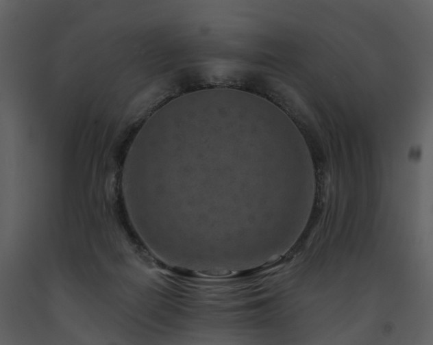 X0000091730266200708241420
