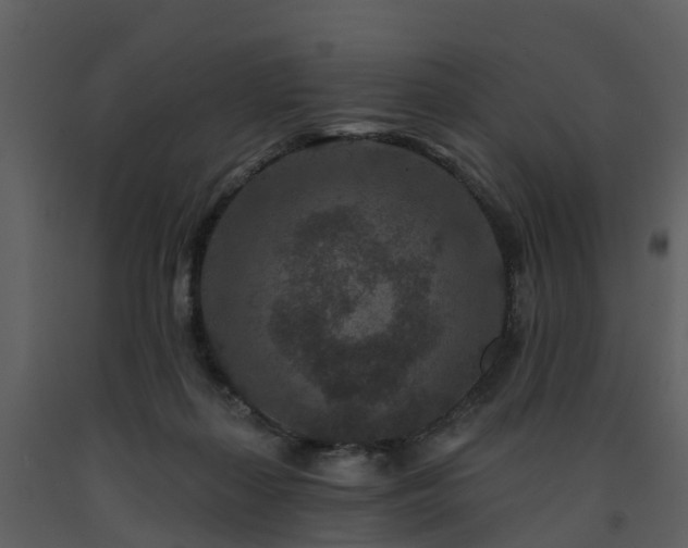 X0000091730267200708241420