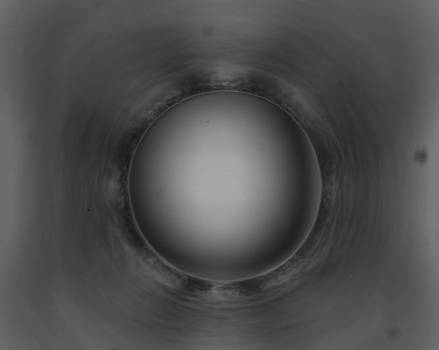 X0000091730270200708241420