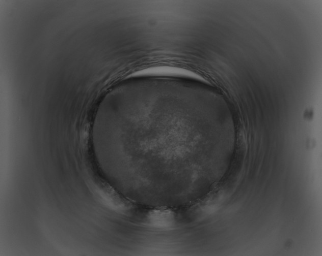X0000091730271200708241420