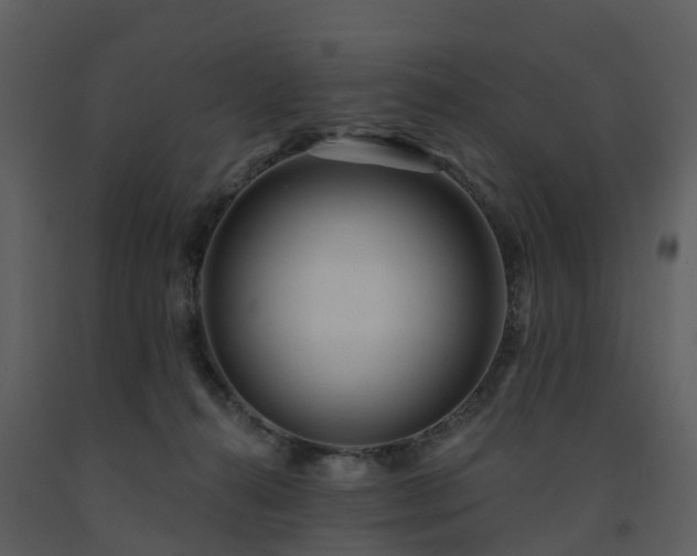 X0000091730272200708241420