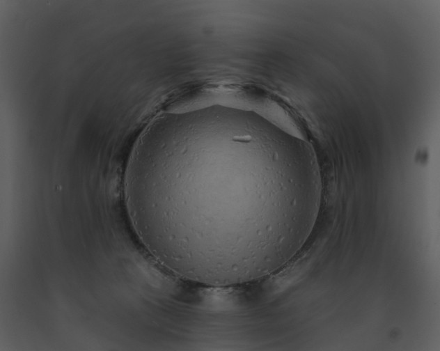 X0000091730273200708241420