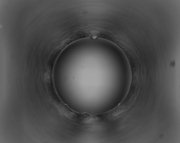 X0000091730274200708241420