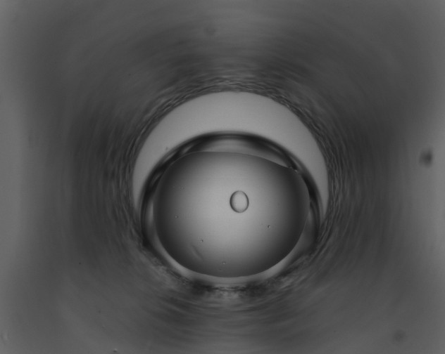 X0000091730276200708241420