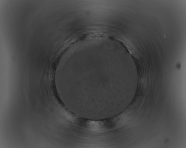 X0000091730277200708241420