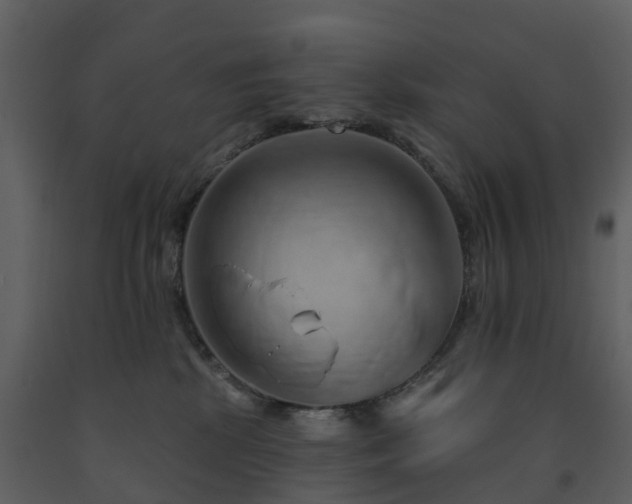 X0000091730281200708241420