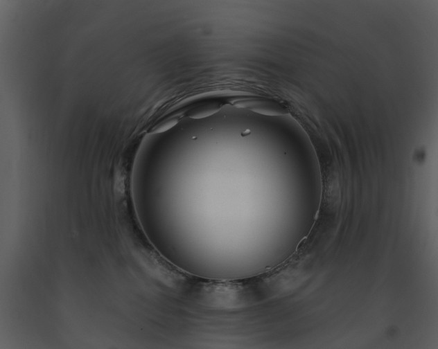 X0000091730282200708241420