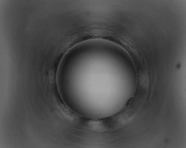 X0000091730283200708241420
