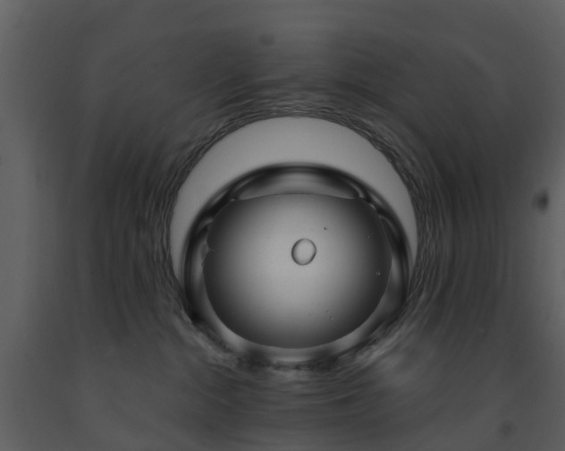 X0000091730284200708241420