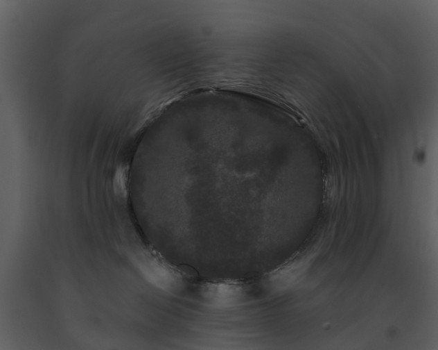 X0000091730286200708241420