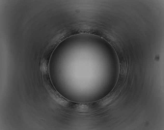 X0000091730287200708241420