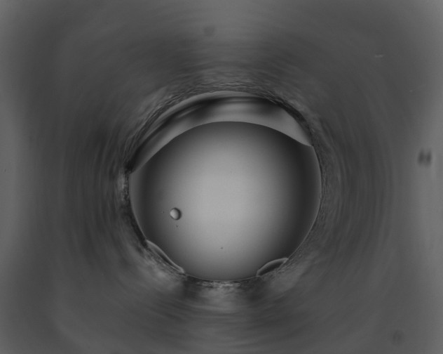 X0000091730288200708241420