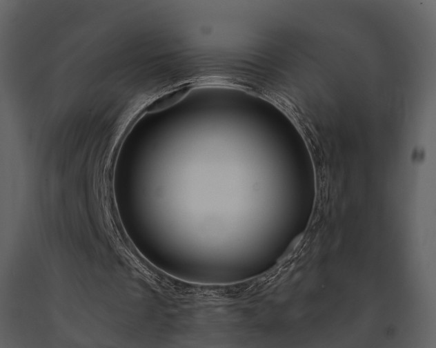 X0000091730289200708241419