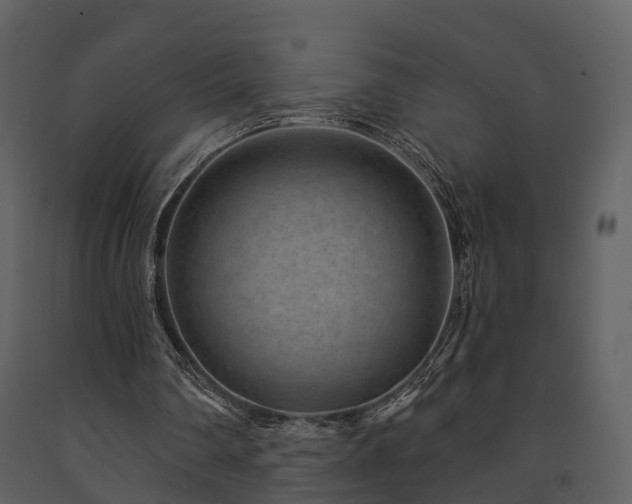 X0000091730290200708241419