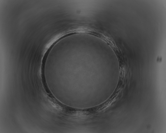X0000091730292200708241419