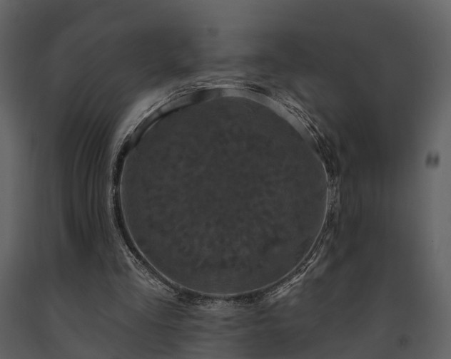 X0000091730293200708241419