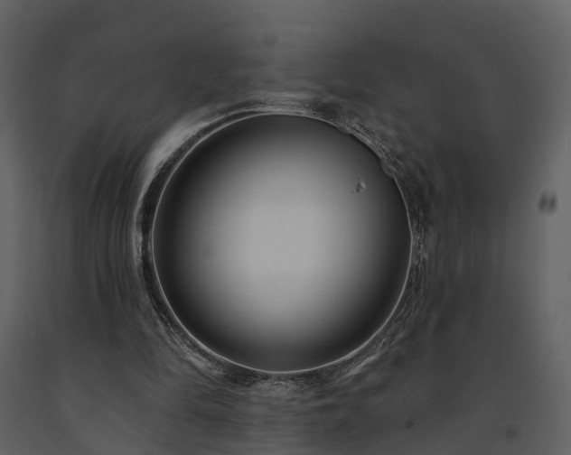 X0000091730294200708241419