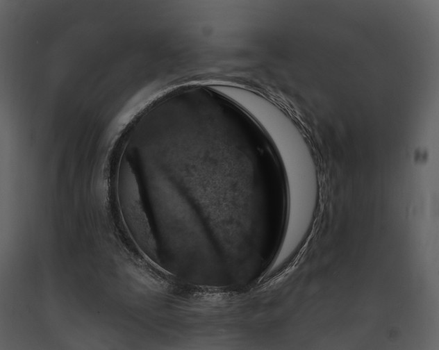 X0000091730295200708241419