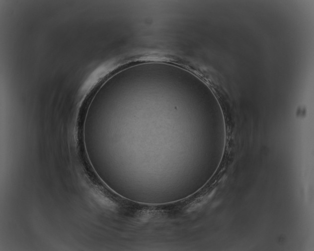 X0000091730296200708241419
