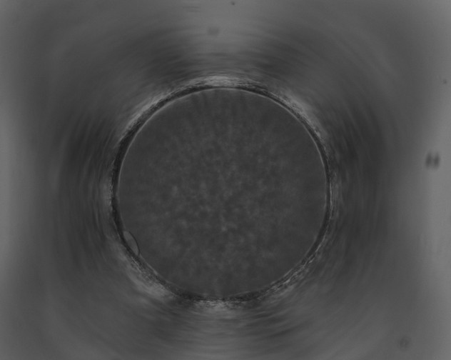 X0000091730297200708241419