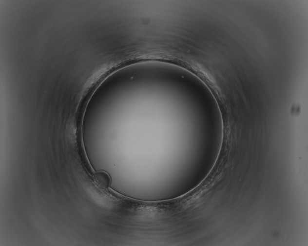 X0000091730298200708241419