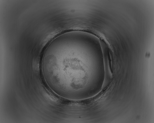 X0000091730299200708241419