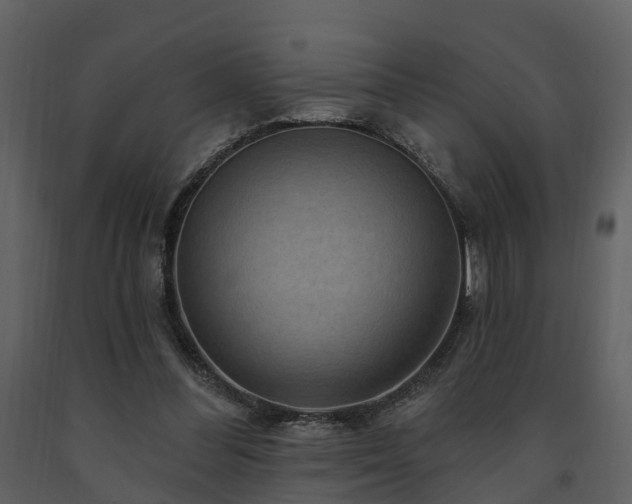 X0000091730300200708241419