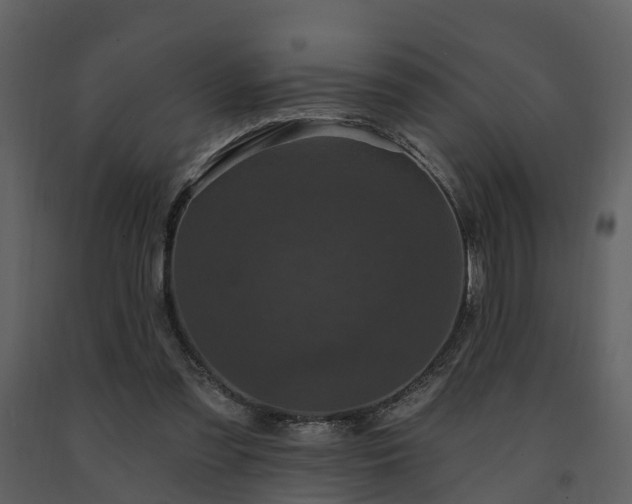 X0000091730301200708241419
