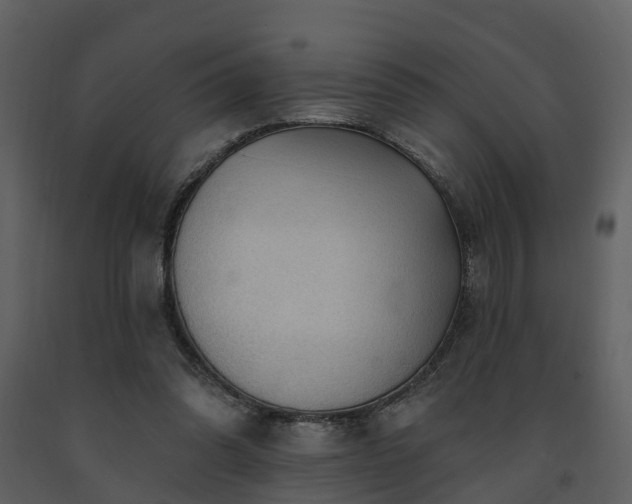 X0000091730302200708241419