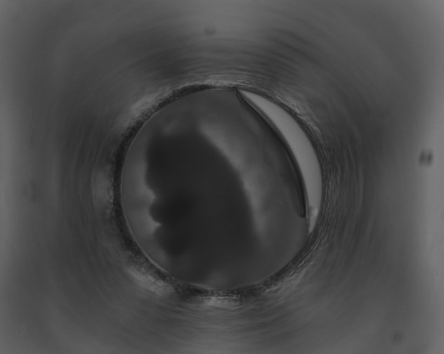 X0000091730303200708241419