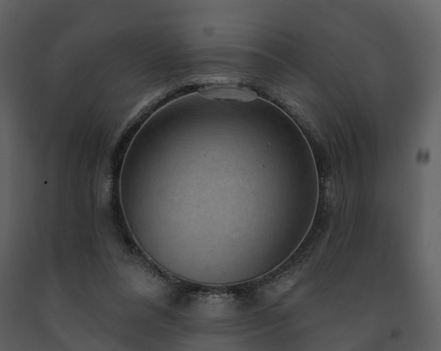 X0000091730304200708241419