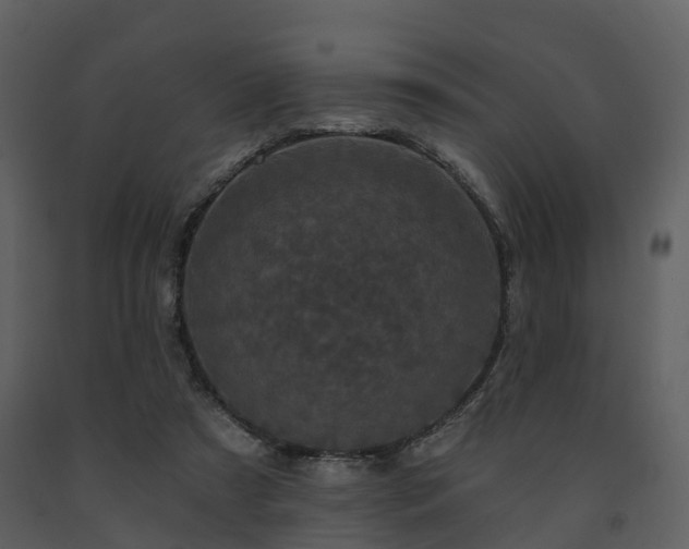 X0000091730305200708241419