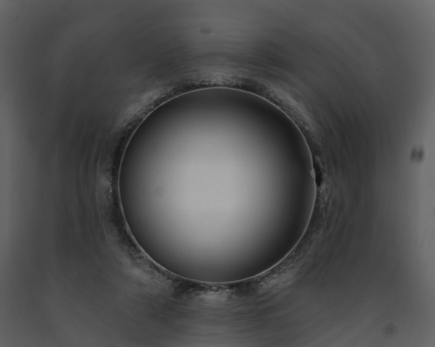 X0000091730306200708241419
