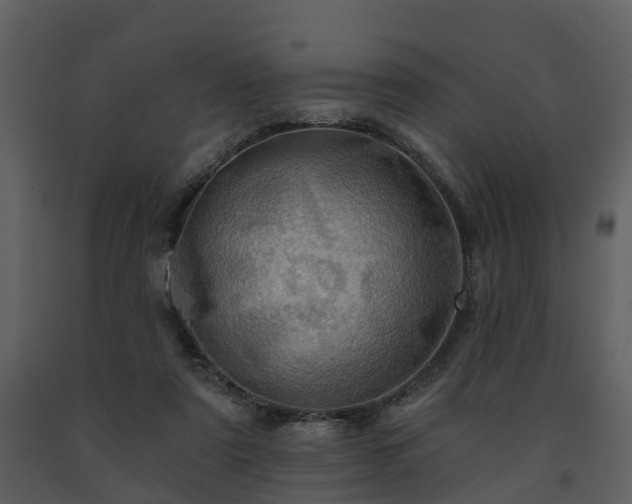 X0000091730307200708241419