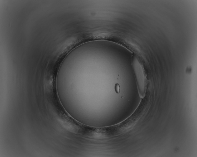 X0000091730308200708241419