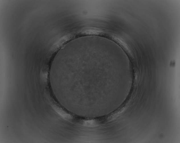 X0000091730309200708241419